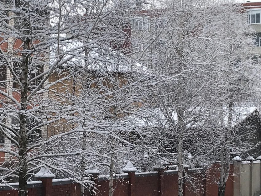 Сегодня, 2 февраля, в Воронеже ожидается пасмурная и немного снежная погода.