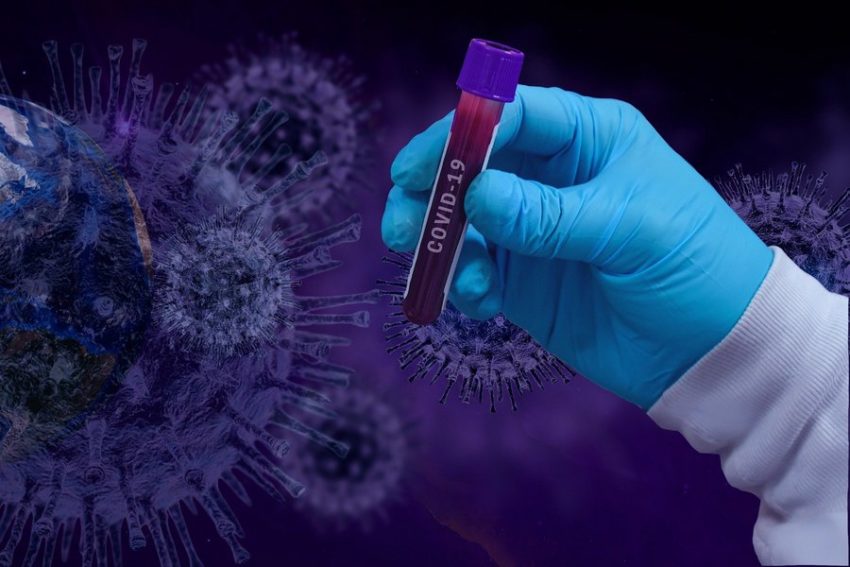 Массовые задержки результатов тестов на коронавирус подтвердил воронежский облздрав