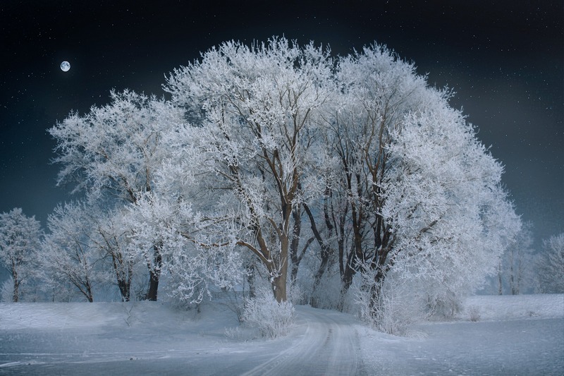 Сильные морозы в выходные вернутся в Воронежскую область 