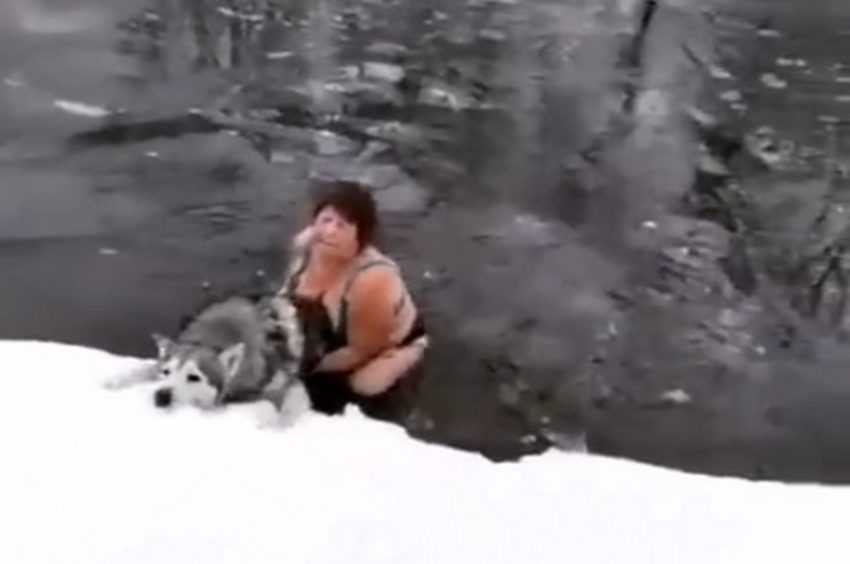 Ради спасения хаски женщина бросилась в ледяную речку в Воронежской области