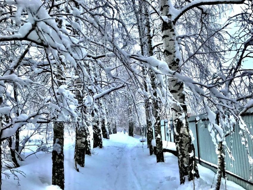 В Воронежской области на новой рабочей неделе будут наблюдаться морозы