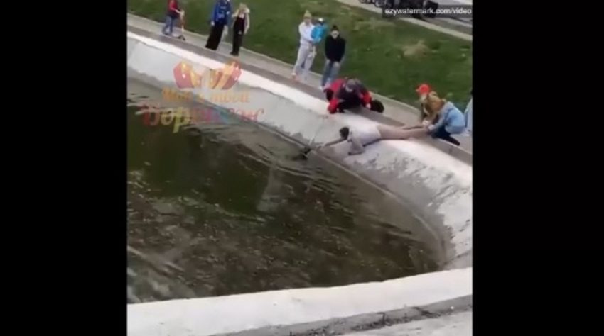 В Воронеже спасение упавшей в озеро собаки сняли на видео