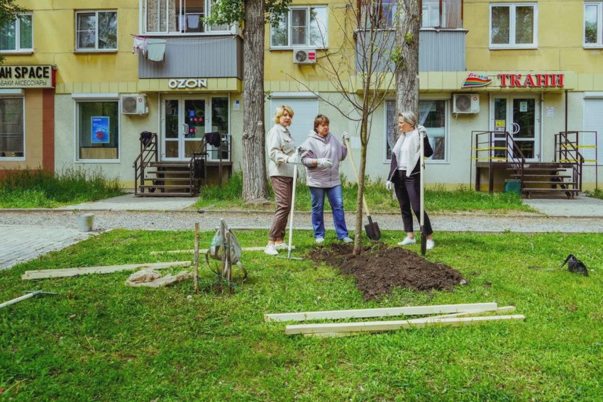 И снова будет город-сад: Воронежские экологи сообщили об активном озеленении города
