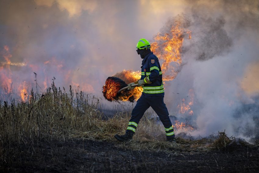 В 17 районах Воронежской области была отмечена повышенная пожарная опасность