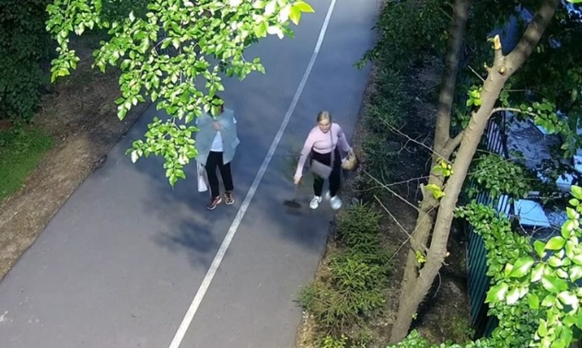 В Воронеже в парке Дельфин вырвавшая с корнем молодую елку женщина попала на видео
