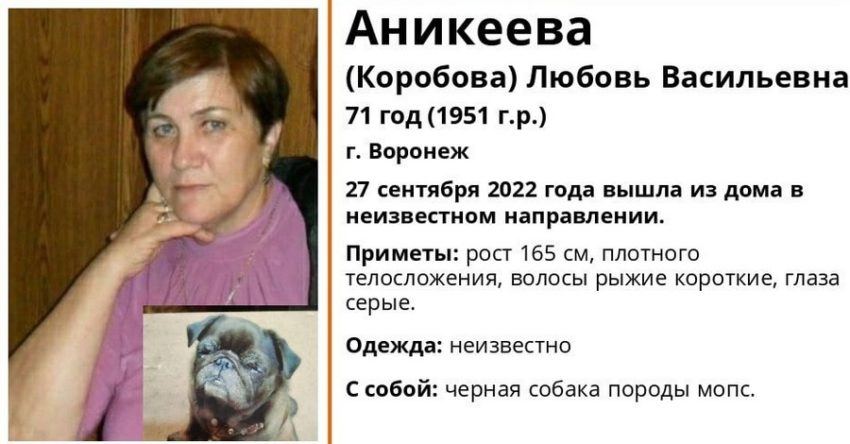 71-летняя пенсионерка, вышедшая на прогулку с собакой, пропала в Воронеже