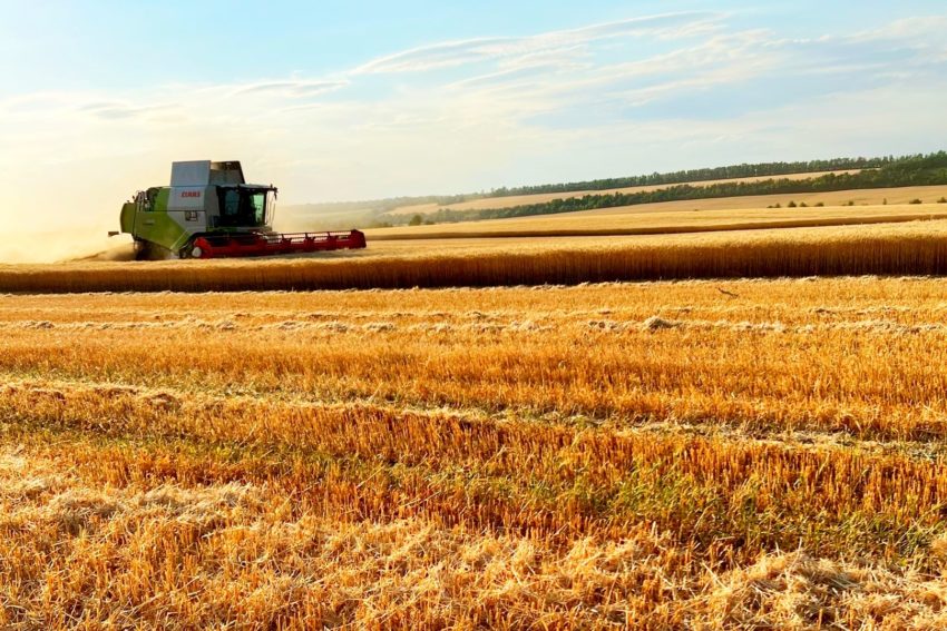 Два воронежских предприятия ФАС разрешили купить Волгоградской агропромышленной компании