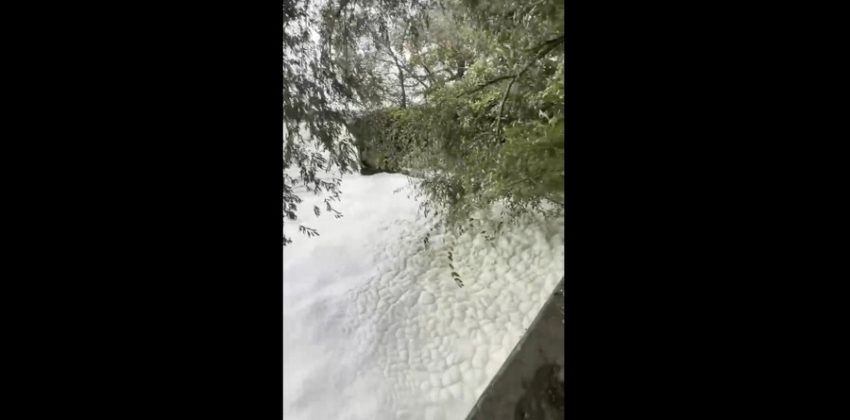 Видео покрывшегося белоснежной пеной водохранилища показали воронежцы