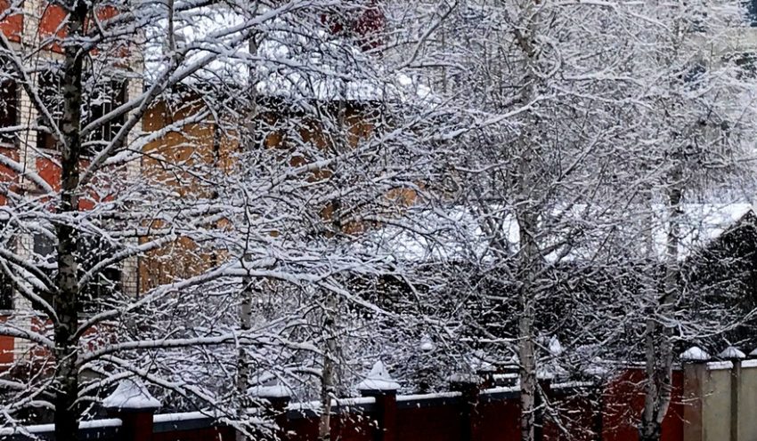 Воронежцев предупредили о снежных заносах и штормовом ветре 17 и 18 ноября