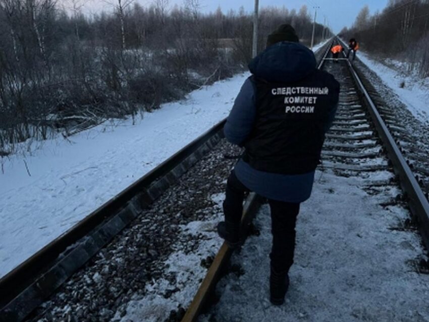 53-летнего мужчину сбил насмерть поезд Москва-Воронеж