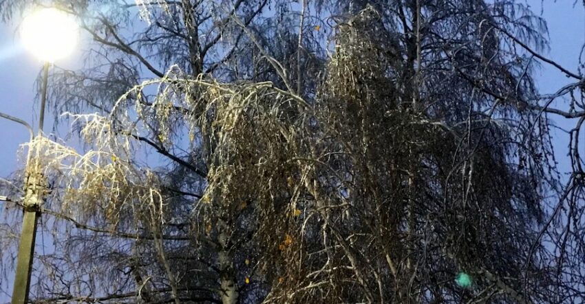 В Воронежской области ожидаются ледяные дожди