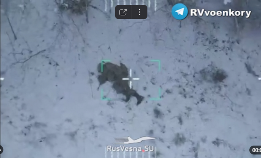 Российский солдат увернулся от гранаты и сбил дрон ВСУ голыми руками