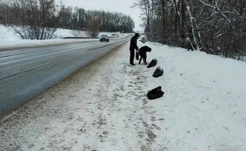 На обочине дороги в Воронежской области обнаружили десятки мертвых куриц