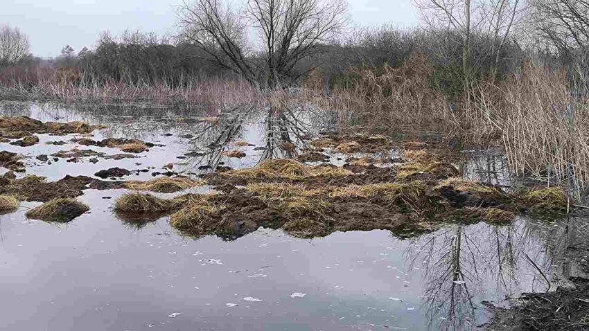 Воронежские следователи проверят факту сбрасывания отходов в реку Икорец