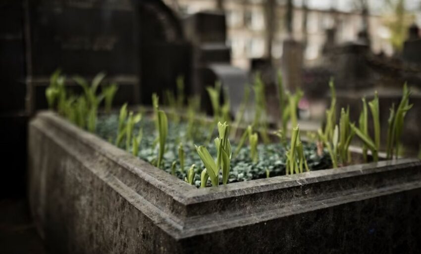 В Аннинском районе построят новое кладбище