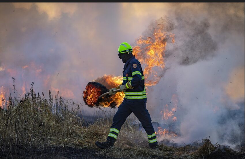 Из-за высокого риска пожаров в Воронежской области объявили желтый уровень погодной опасности