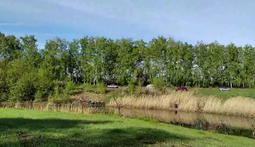 Пропавший житель Воронежской области найден мертвым неподалеку от пруда