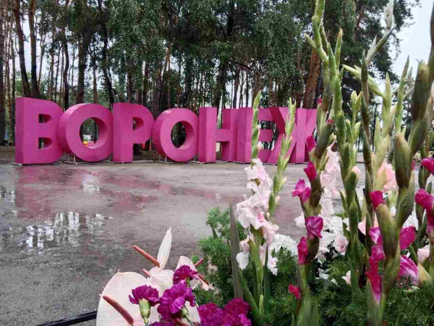 Лискинский предприниматель разработает программу воронежского фестиваля «Город-Сад