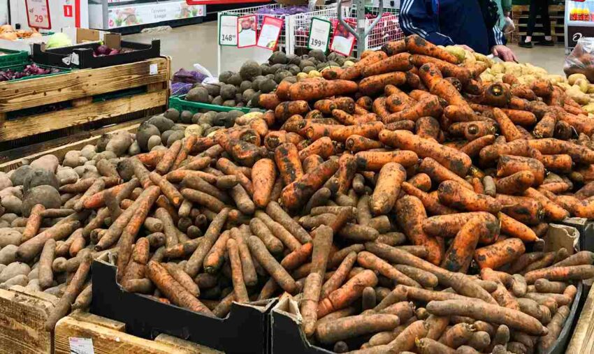 Три тонны сомнительных овощей и ягод изъяли у продавцов в Воронежской области