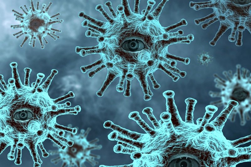 Вариант коронавируса «пирола» Роспотребнадзор признал заразнее «омикрона»