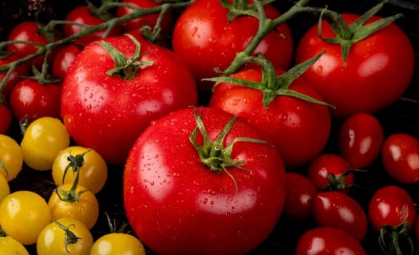 Цены на помидоры и огурцы продолжают расти в Воронежской области