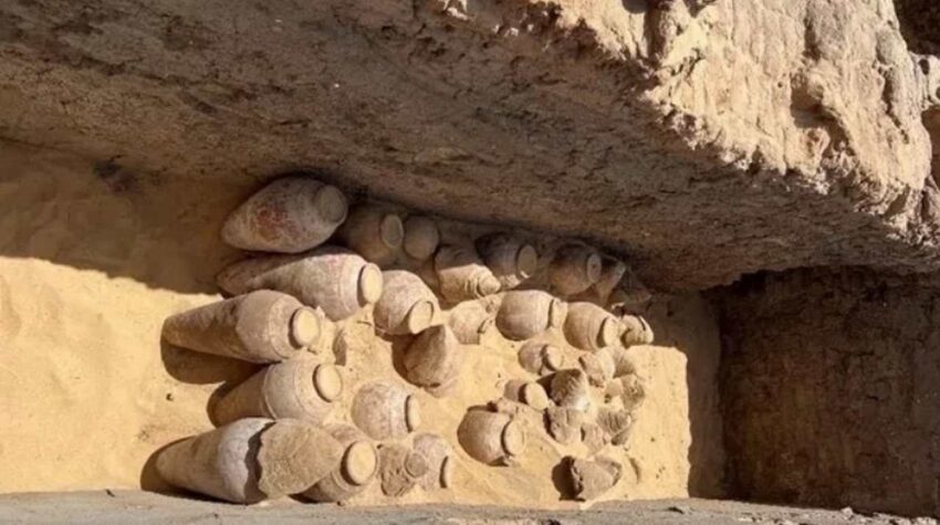Кувшины с вином, которому 5000 лет, обнаружили в Египте археологи