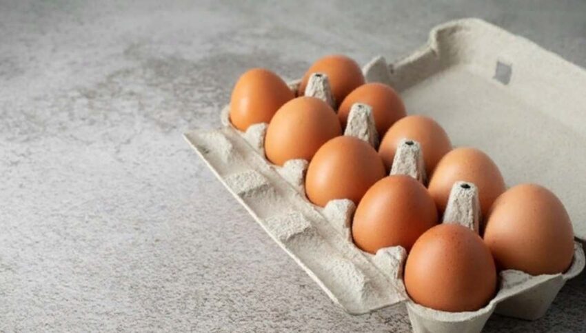 Антикартельные проверки 12 производителей куриных яиц и мяса кур проводит ФАС