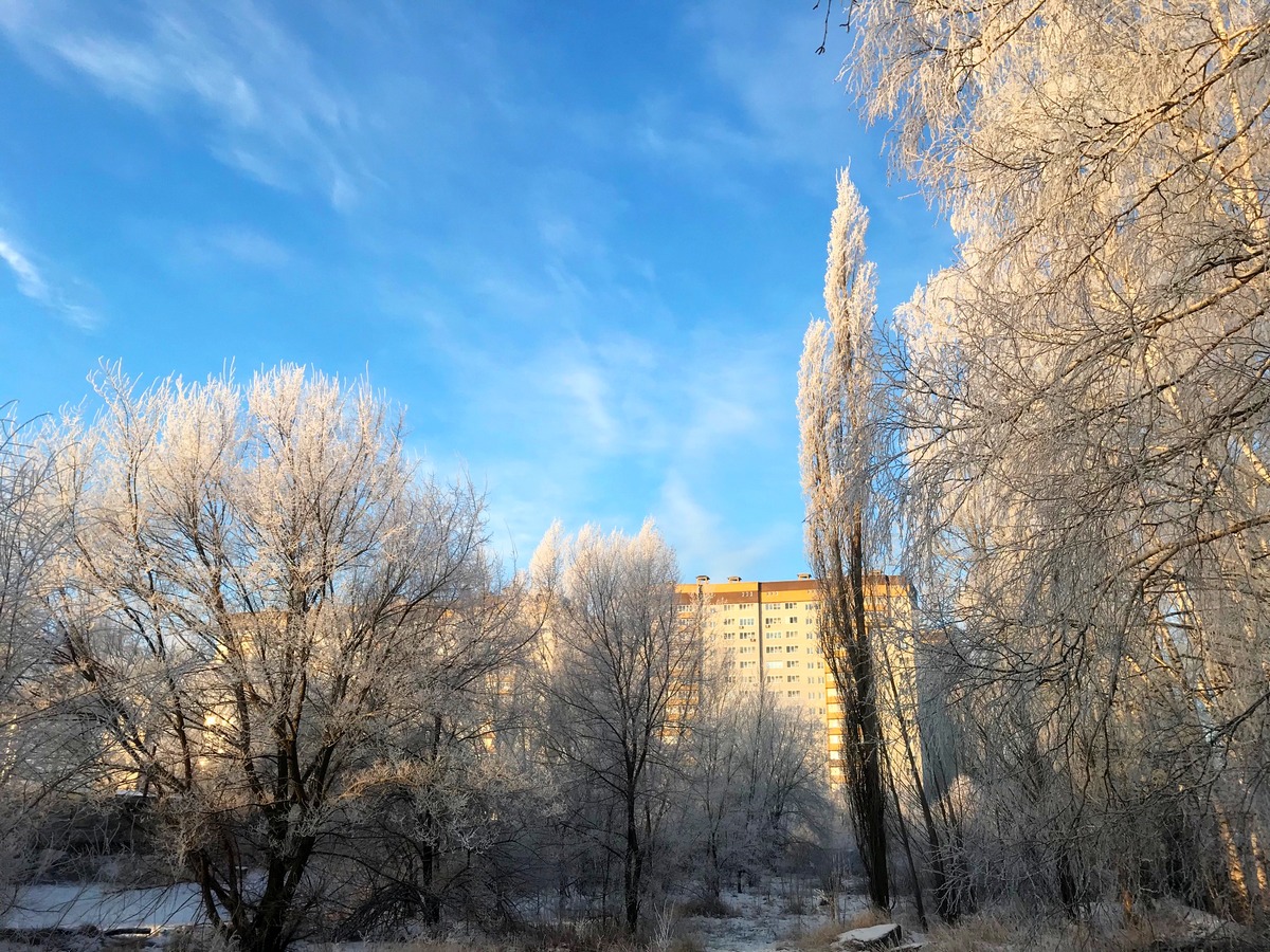 Погода в воронежской на синоптике