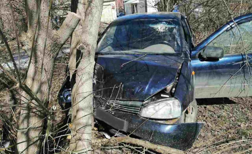 Водитель  врезавшейся в дерево «Лады Калины» погиб в Воронежской области