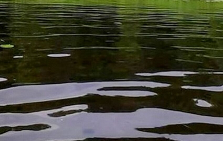 На 16 см за сутки поднялся уровень воды в реке под Воронежем