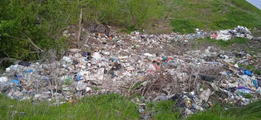Экологи оценили ущерб от свалки под Воронежем
