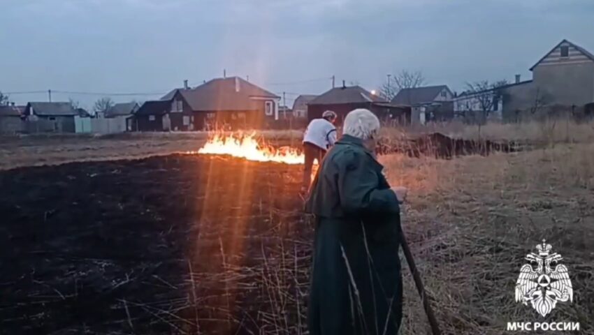 За 2 дня особого противопожарного режима более 150 ландшафтных пожаров произошло в Воронежской области