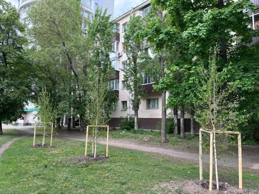 В месячник благоустройства в Воронеже высадили 130 хвойных и лиственных деревьев