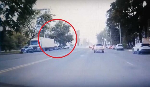 В Воронеже на видео попал момент падения дерева на машины 