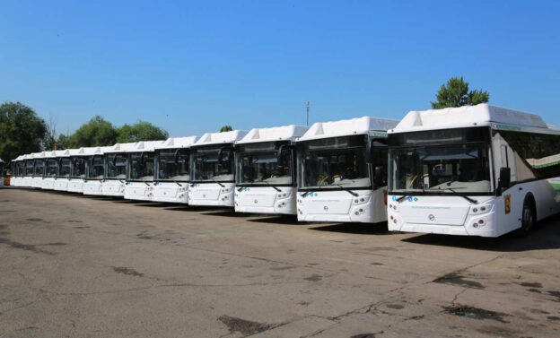 В Воронеже режим работы пригородных автобусов изменится в День России