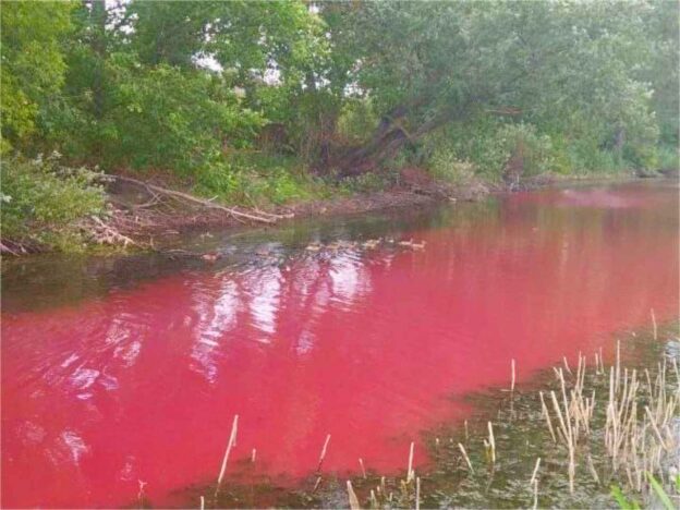 Внимание экологов привлёк красный водоём в Воронежской области
