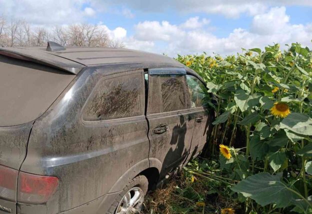 Водитель SsangYong погиб в воронежском поле подсолнухов