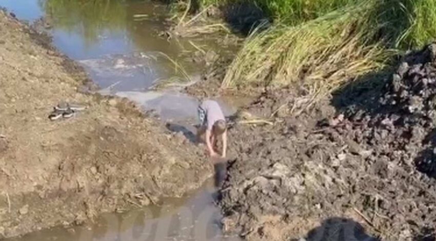 Воронежцев, сносящих самодельную дамбу, сняли на видео