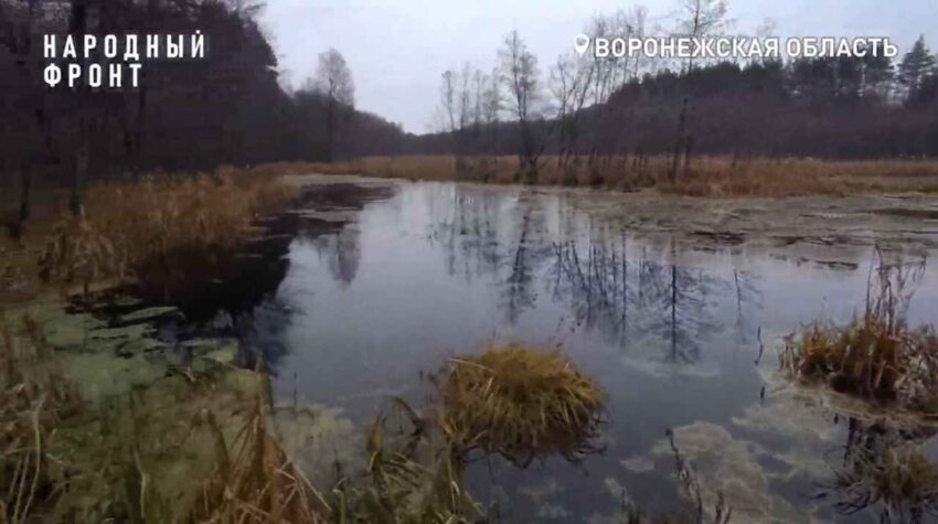 В Воронежском заказнике активисты забили тревогу из-за состояния реки