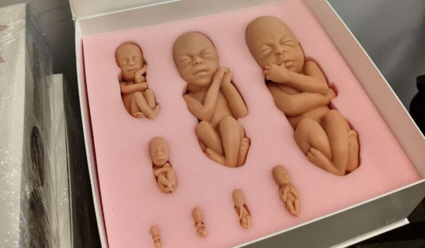 Медицина, Здоровье, Красота