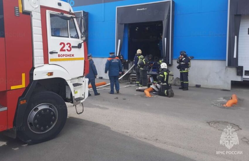 Безопасность. Права граждан