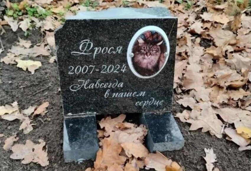 Безопасность. Права граждан