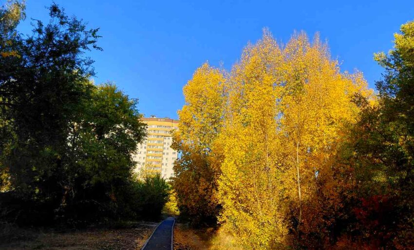 Вильфанд: Теплее уже не будет — погода в России переходит в зимний режим В России