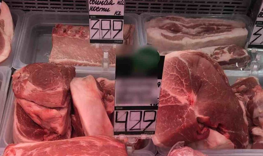 Безопасность. Права граждан