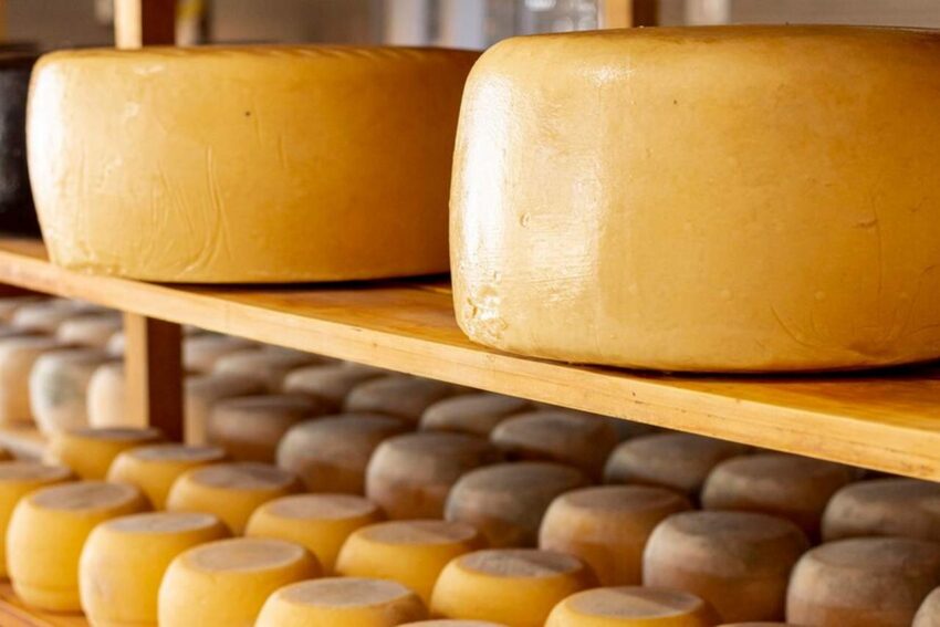 Происшествия. Криминал