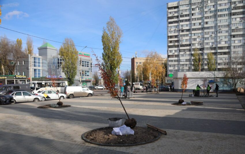 Официально