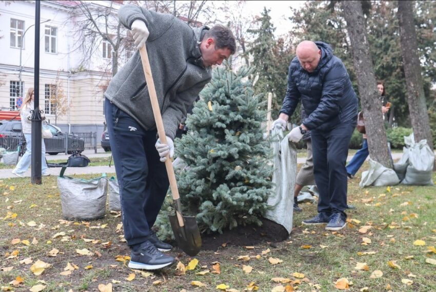 Глава Воронежа Сергей Петрин высадил деревья в сквере возле Центральной управы