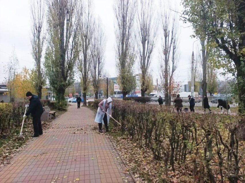 В Воронеже комбинаты благоустройства убирают листву в круглосуточном режиме