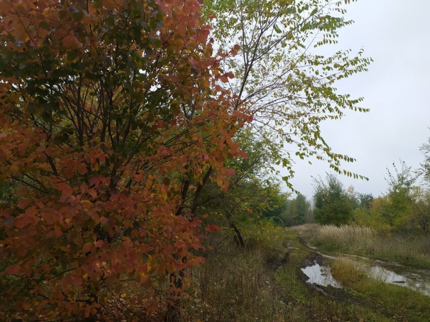 Происшествия. Криминал