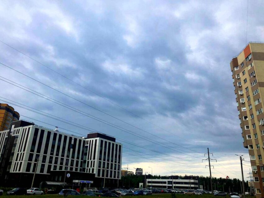 Дожди и до +5 градусов обещают синоптики днем 30 ноября в Воронежской области Природа